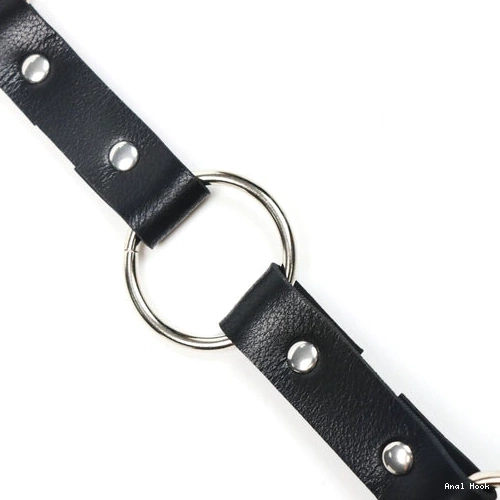 and Leash Hook with Anal EverydayUse 5853 Collar Kinky 0317